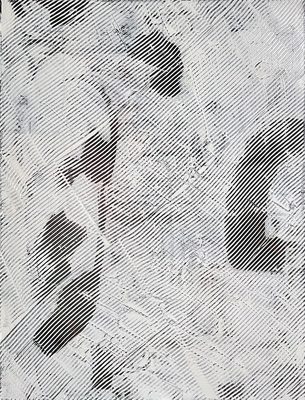 Disturbance