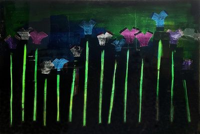 Tulip Field